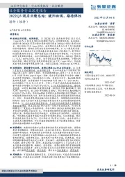 社会服务行业深度报告：2022Q3酒店业绩总结：暖阳初现，期待弹性