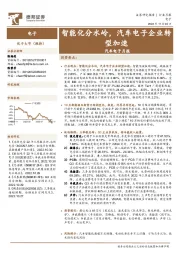 汽车电子月报:智能化分水岭,汽车电子企业转型加速