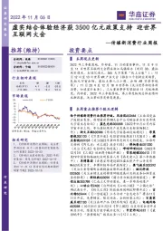 传媒新消费行业周报：虚实结合体验经济获3500亿元政策支持迎世界互联网大会