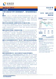 有色金属行业分析：加拿大政府或叫停中资收购锂资产，国内锂资源价值凸显