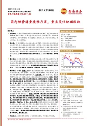 有色行业周报：国内锂资源重要性凸显，重点关注软磁板块