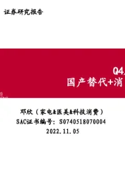 家电行业Q4展望：国产替代+消费分层