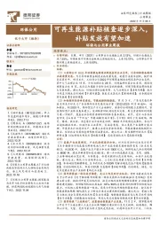 环保与公用事业周报：可再生能源补贴核查逐步深入，补贴发放有望加速