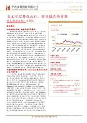 有色-能源金属行业周报:自主可控势在必行,锂估值有待重塑