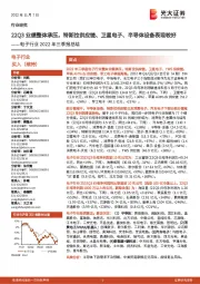 电子行业2022年三季报总结：22Q3业绩整体承压，特斯拉供应链、卫星电子、半导体设备表现较好