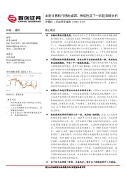 计算机行业简评报告：本轮计算机行情的成因、持续性及下一阶段演绎分析