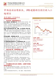 券商2022三季报综述:市场波动业绩承压,IPO超募助力投行收入小幅增长