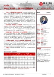 电新2022三季报业绩总结：业绩分化，景气向上