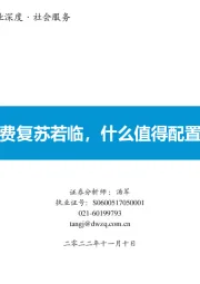 社会服务行业深度：消费复苏若临，什么值得配置？