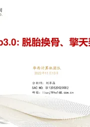 计算机：Web3.0：脱胎换骨、擎天架海