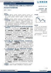环保行业跟踪周报:COP27聚焦落实承诺,持续关注双碳环保产业安全系列投资机遇