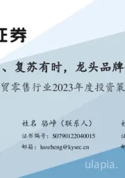 商贸零售行业2023年度投资策略:卯迎旭日、复苏有时,龙头品牌优势显著