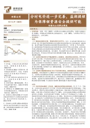 环保与公用事业周报：分时电价进一步完善，盐湖提锂为保障锂资源安全提供可能