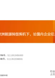 机械设备行业深度研究:欧洲风电市场:欧洲能源转型契机下,论国内企业切入欧洲市场的机遇