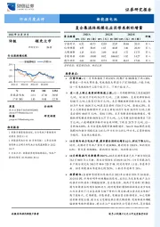 新能源电池行业月度点评：复合集流体规模化应用带来新的增量