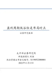 新能源行业深度研究报告：盈利周期低谷恰是布局时点