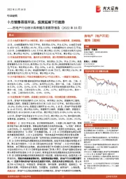 房地产行业统计局数据月度跟踪报告（2022年10月）：十月销售表现平淡，投资延续下行趋势