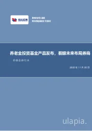 非银金融行业周报：养老金投资基金产品发布，着眼未来布局券商