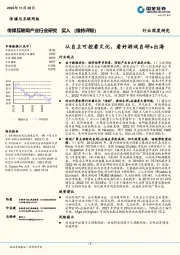 传媒互联网产业行业研究：从自主可控看文化，看好游戏自研+出海