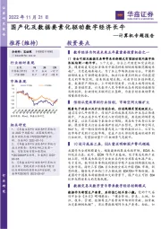 计算机专题报告：国产化及数据要素化驱动数字经济长牛