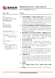 电子行业简评报告：模拟板块库存或已见顶，关注强α属性个股