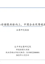 新能源行业策略报告：全球储能共振向上，中国企业优势致胜