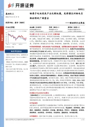 新材料行业周报:钠离子电池迎来产业化新机遇,或将催生对钠电负极材料的广阔需求
