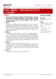 有色金属行业专题报告：比亚迪、赣锋锂业、宁德时代固态电池专利汇总