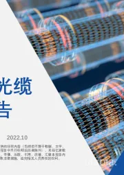 2022年中国光纤光缆行业短报告