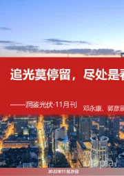 洞鉴光伏·11月刊:追光莫停留,尽处是春山