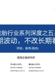 轮胎行业系列深度之五:短期波动,不改长期看好