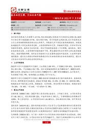 锂电行业2022年11月月报：基本面有支撑，行业未来可期
