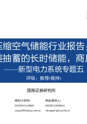 新型电力系统专题五：压缩空气储能行业报告：压缩空气储能行业报告：