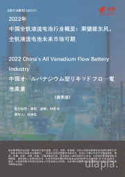 2022年中国全钒液流电池行业概览：乘储能东风，全钒液流电池未来市场可期（摘要版）