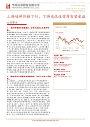 公用事业行业动态报告:上游硅料价格下行,下游光伏运营商有望受益