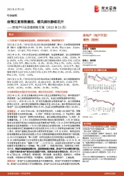 房地产行业百强销售月报(2022年11月):疫情反复销售磨底,暖风频吹静候花开