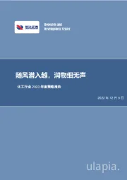 化工行业2023年度策略报告：随风潜入越，润物细无声