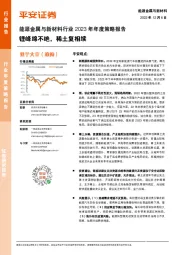 能源金属与新材料行业2023年年度策略报告：锂峰绵不绝，稀土复相续