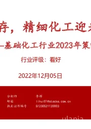 基础化工行业2023年策略报告：行业去库存，精细化工迎来发展良机