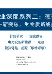 钠电行业深度系列二：硬碳负极从零到一新突破，生物质路线前景广阔
