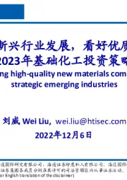 2023年基础化工投资策略：受益于战略新兴行业发展，看好优质新材料龙头
