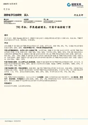 消费电子行业研究：TWS耳机：苹果稳健增长，中国市场持续下滑