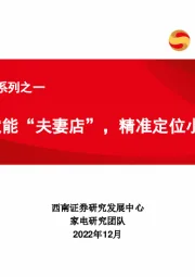 家电渠道专题系列之一：电商下沉赋能“夫妻店”，精准定位小镇市场