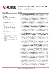美容护理行业深度报告：化妆品医美2023年投资策略：把握龙头，关注成长