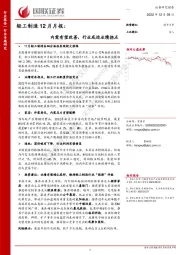 轻工制造12月月报：内需有望改善，行业或迎业绩拐点