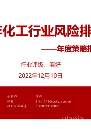 年度策略报告姊妹篇：2023年化工行业风险排雷手册