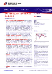 化工行业周报：化纤、磷肥价差上涨，看好内需改善下龙头盈利修复