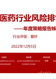 年度策略报告姊妹篇：2023年医药行业风险排雷手册