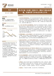 电子月报（台股）2022-11：静待下游库存调整，把握高景气和拓应用两大方向