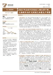 化工新材料行业周报:2023年全球半导体收入增长将下降,上海新阳KrF光刻胶已批量生产销售